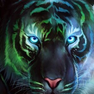 Meet your Posher, Bruce